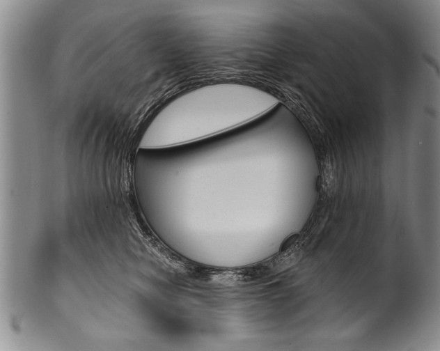 X0000101120470200806261049