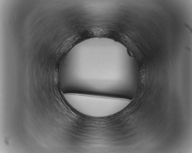 X0000101120471200806261049