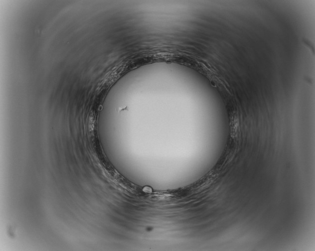 X0000101120472200806261049