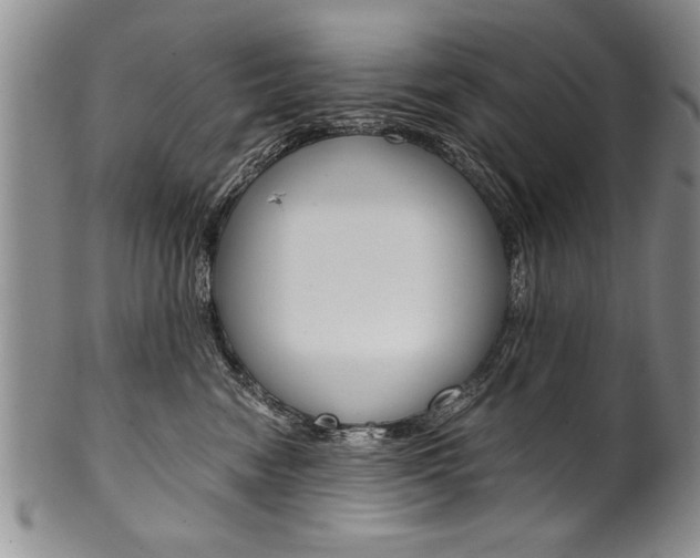 X0000101120474200806261049