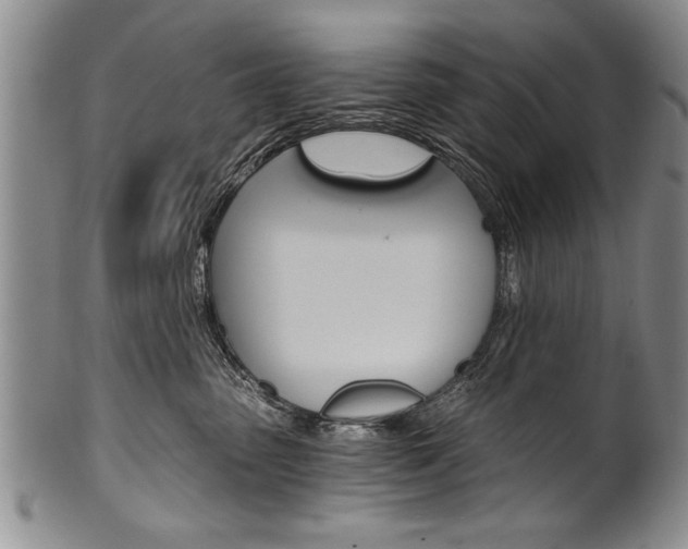 X0000101120475200806261049