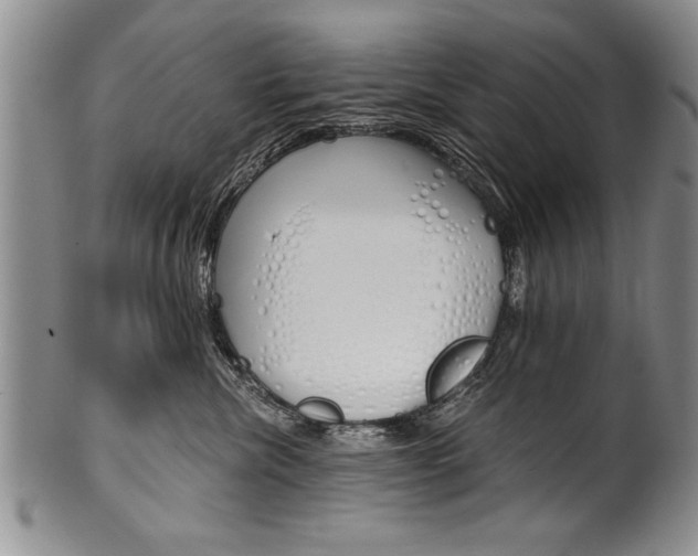 X0000101120476200806261049