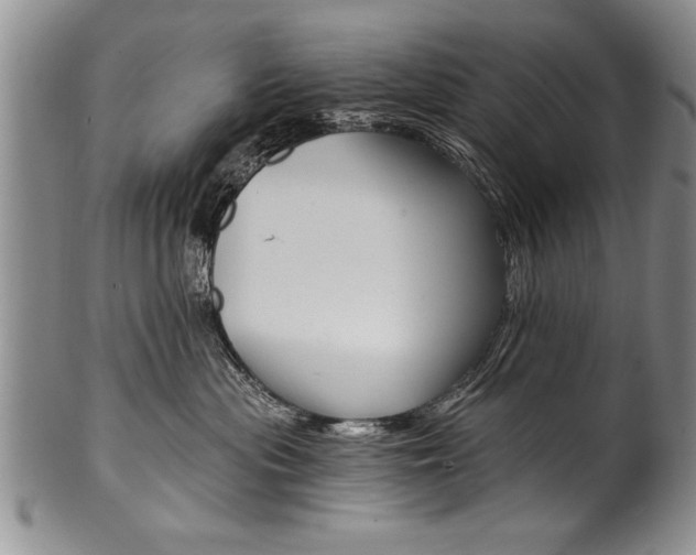 X0000101120477200806261049