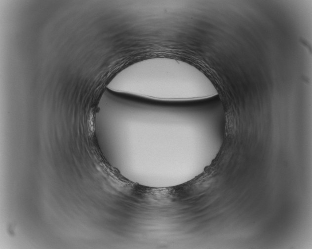 X0000101120479200806261049