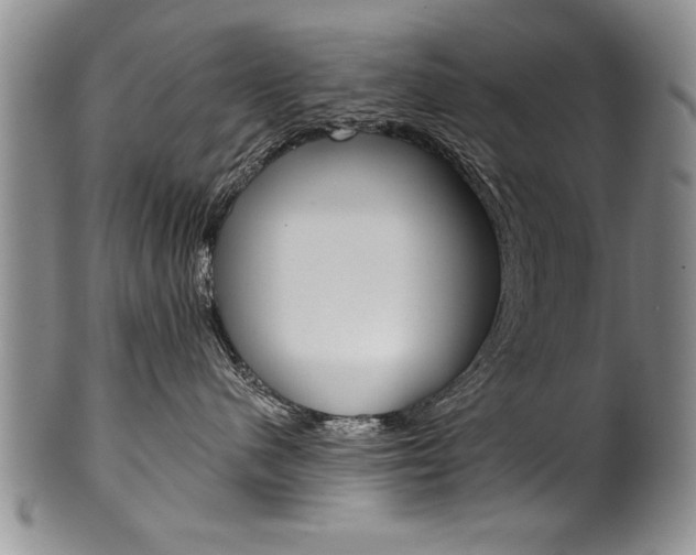 X0000101120480200806261049
