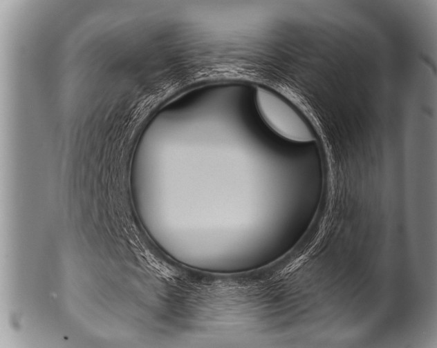 X0000101120481200806261049
