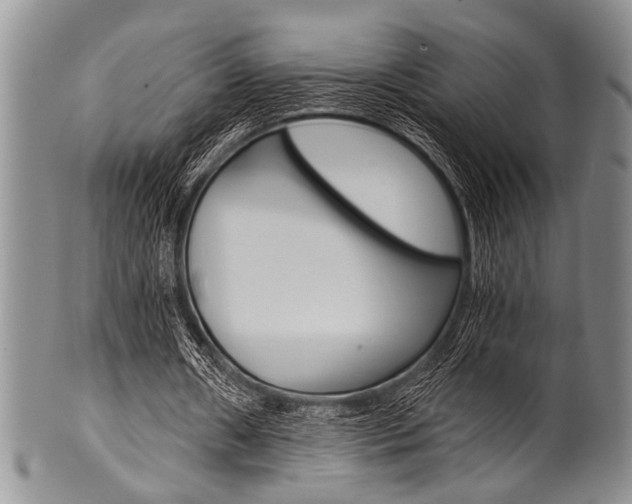 X0000101120482200806261049