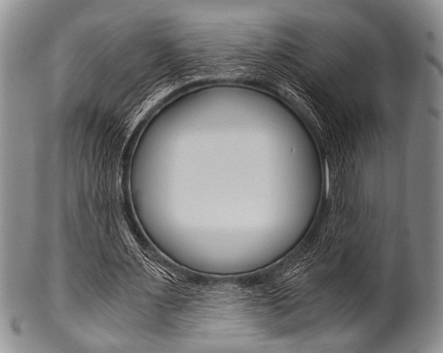 X0000101120483200806261049