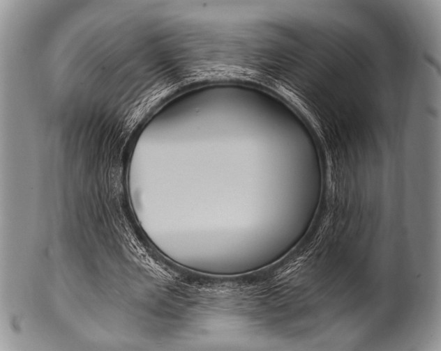 X0000101120485200806261049