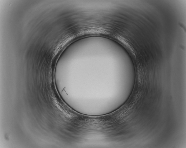 X0000101120486200806261049