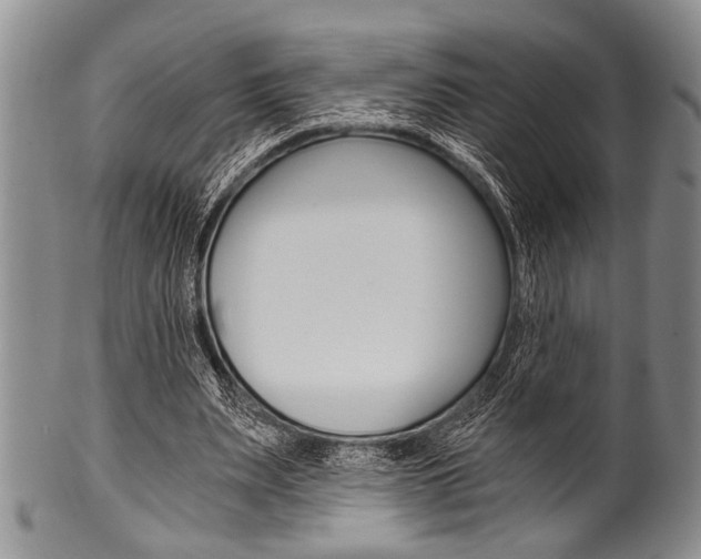 X0000101120487200806261049