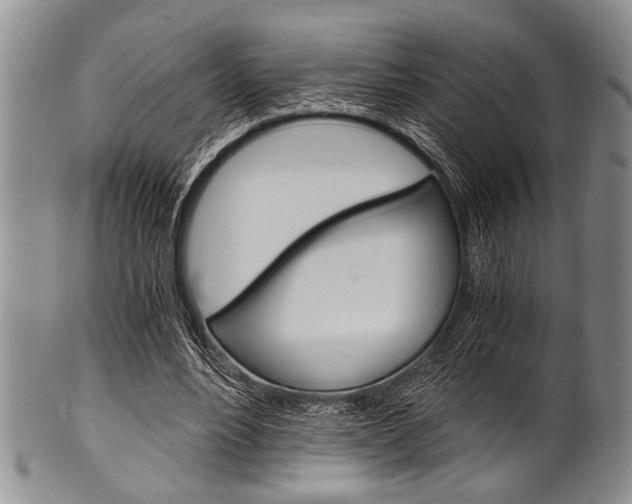X0000101120488200806261049