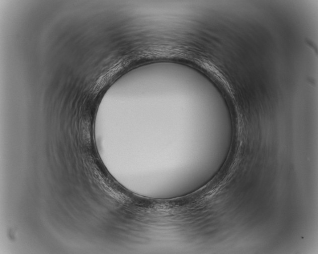 X0000101120489200806261049