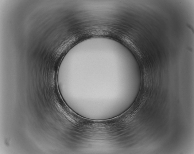 X0000101120490200806261049