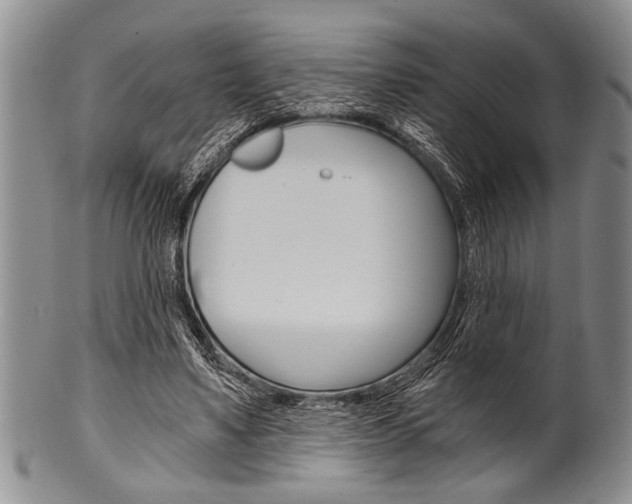 X0000101120491200806261049