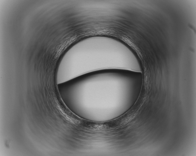 X0000101120493200806261049