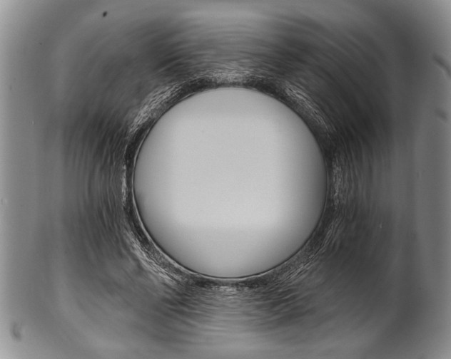 X0000101120494200806261049