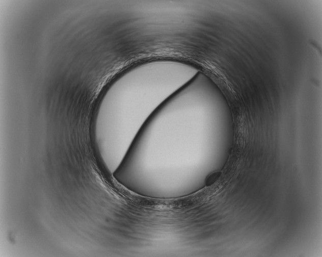 X0000101120496200806261049