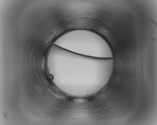 X0000101120499200806261049