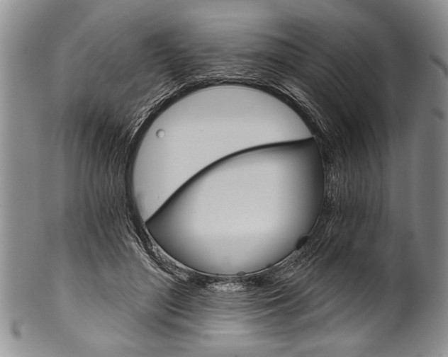 X0000101120500200806261048