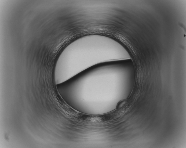 X0000101120501200806261048