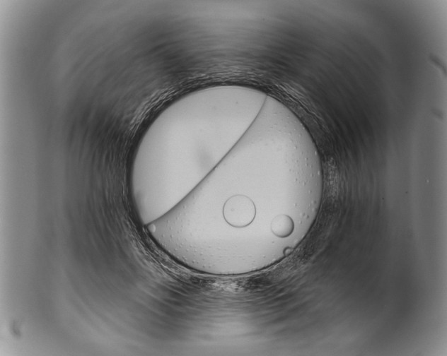 X0000101120502200806261048