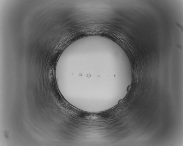 X0000101120503200806261048
