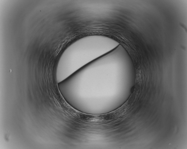 X0000101120504200806261048
