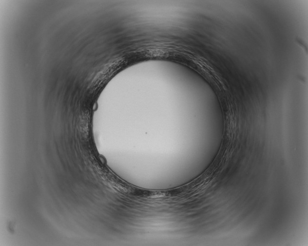 X0000101120505200806261048