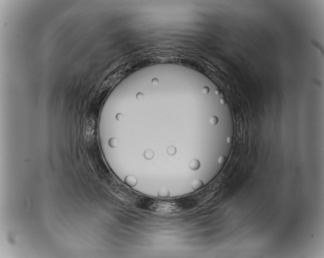 X0000101120507200806261048