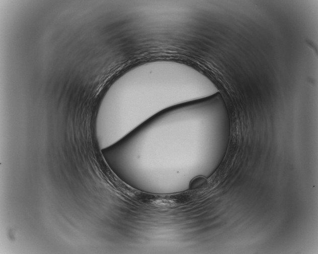 X0000101120508200806261048