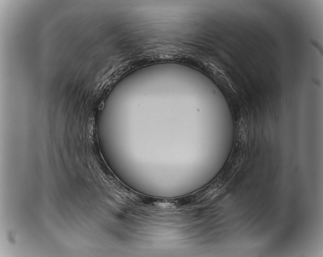 X0000101120509200806261048