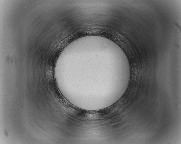 X0000101120510200806261048