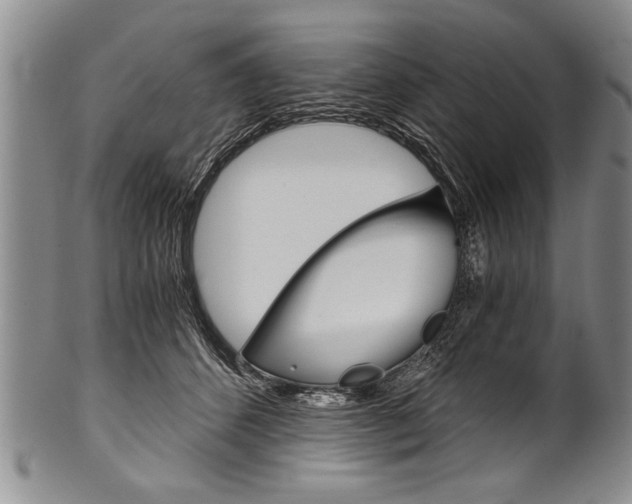 X0000101120512200806261048