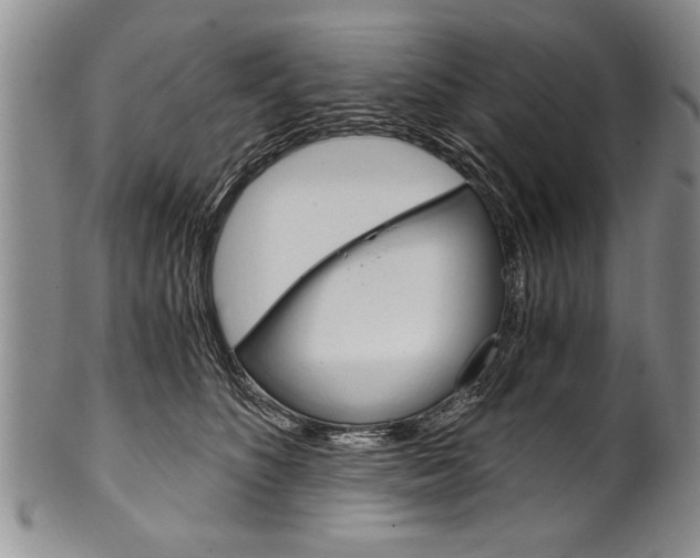 X0000101120516200806261048