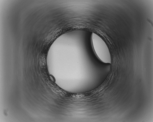 X0000101120517200806261048