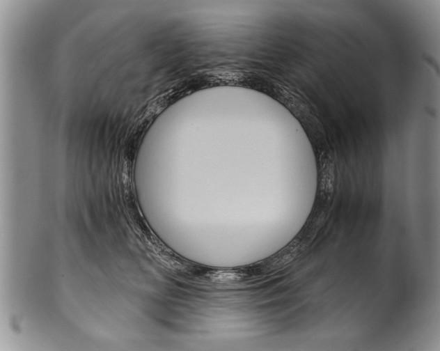 X0000101120518200806261048