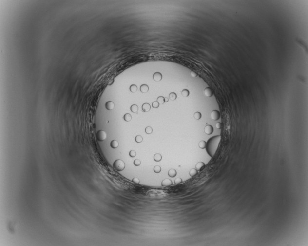 X0000101120519200806261048