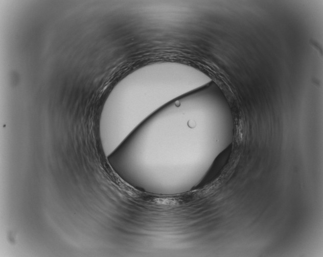 X0000101120520200806261048