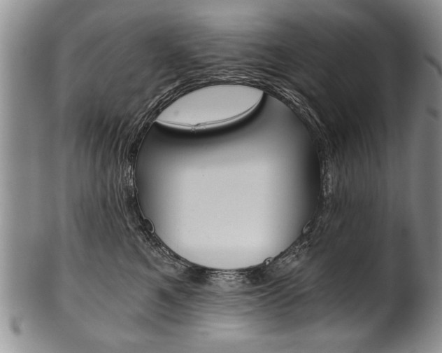 X0000101120521200806261048