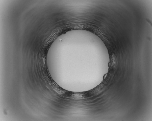 X0000101120522200806261048
