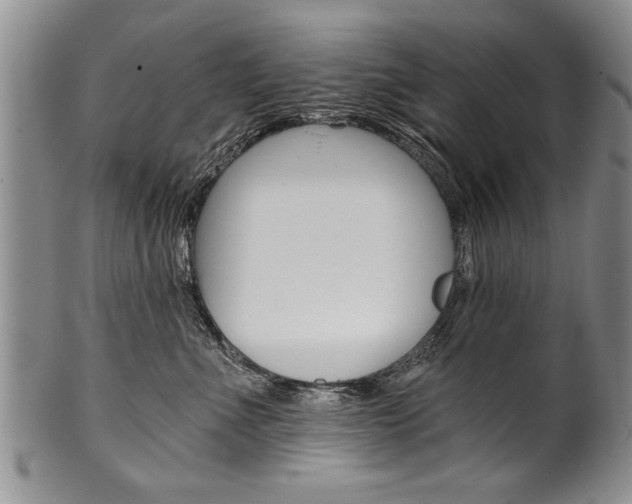 X0000101120523200806261048