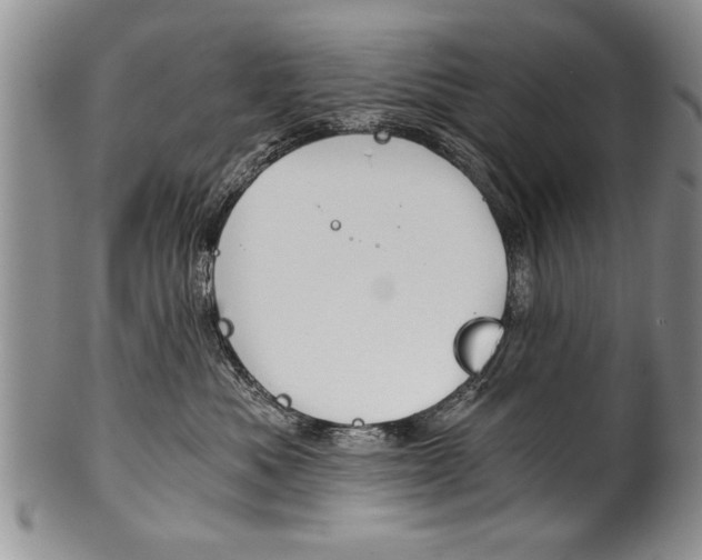 X0000101120525200806261048