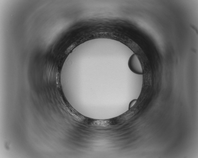 X0000101120526200806261048