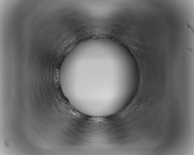 X0000101120528200806261048