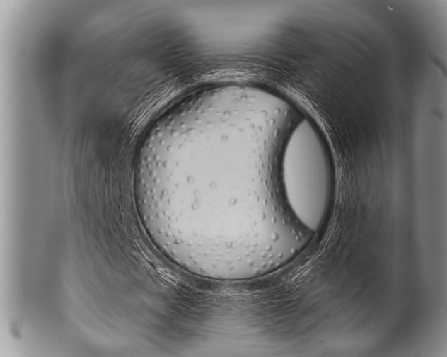X0000101120529200806261047
