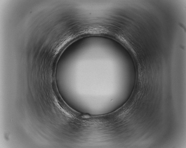X0000101120530200806261047