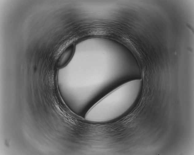 X0000101120531200806261047