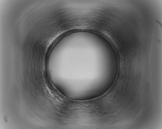 X0000101120532200806261047