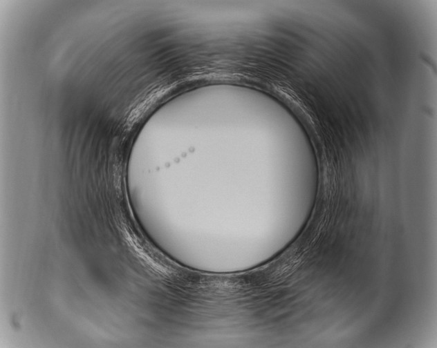 X0000101120533200806261047